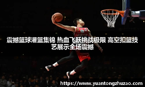 乐竞体育平台