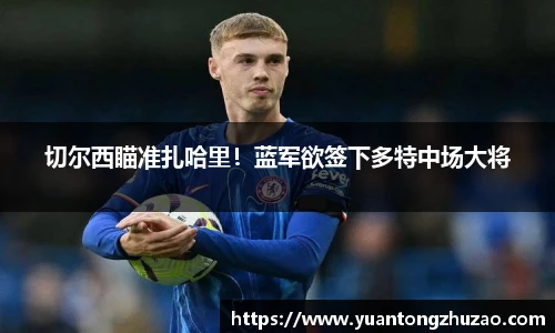 切尔西瞄准扎哈里！蓝军欲签下多特中场大将