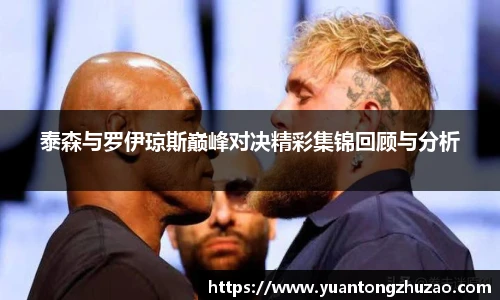 泰森与罗伊琼斯巅峰对决精彩集锦回顾与分析