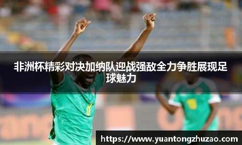 非洲杯精彩对决加纳队迎战强敌全力争胜展现足球魅力