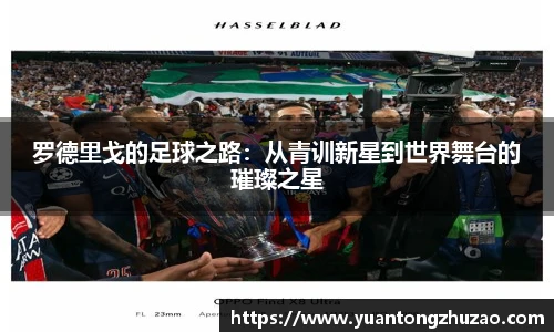 betway必威西汉姆联官网