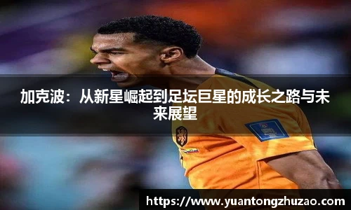 必威西汉姆官网