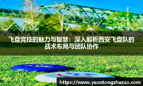 飞盘竞技的魅力与智慧：深入解析西安飞盘队的战术布局与团队协作